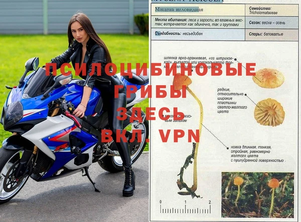 ешки Ростов