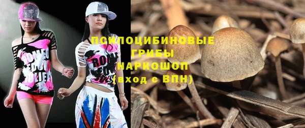 ешки Ростов